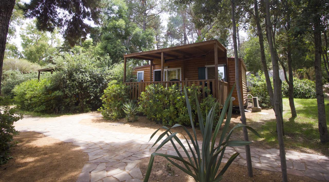 Camping Villaggio L'Ultima Spiaggia 바리사르도 외부 사진